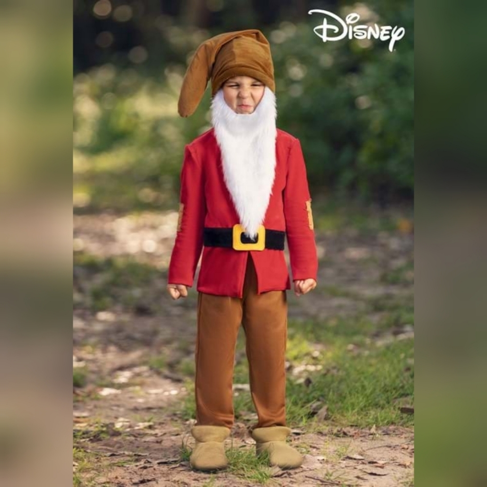 Disney Grumpy Costume 2T